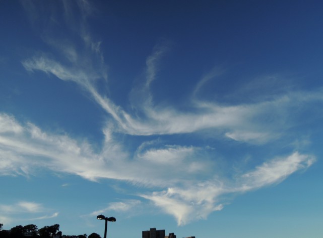 2013/9/8、上空一面に広がる龍雲は、まるでとぐろを巻いているかのよう。